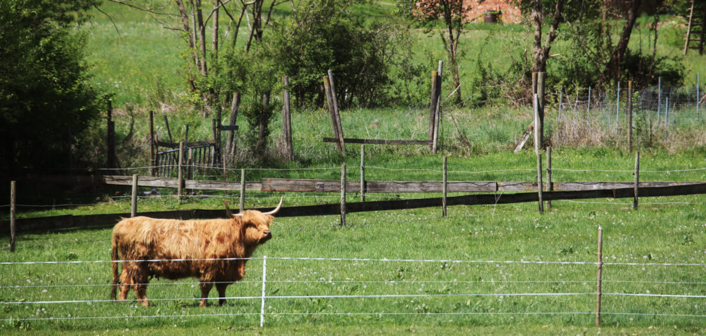 Klimafitte Landwirtschaft