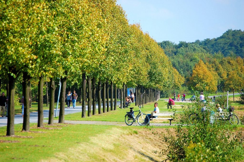 Klimafitte Naherholung
