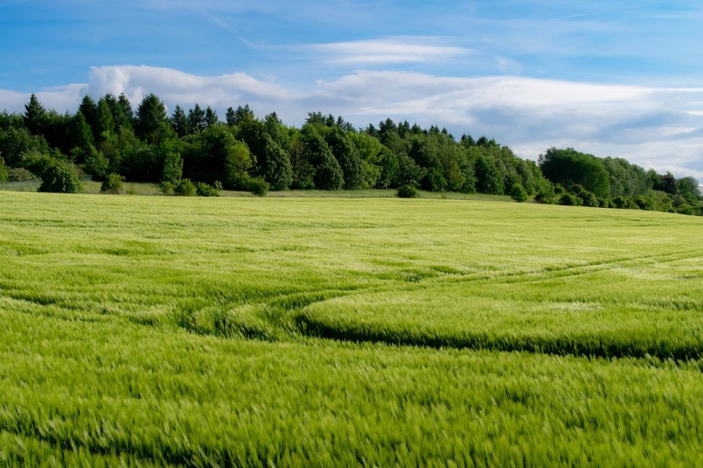 Klimafitte Landwirtschaft