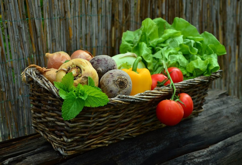 Klimafittes Obst, Gemüse und Biodiversität
